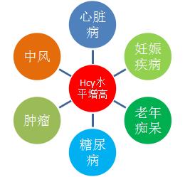 血清同型半胱氨酸的临床意义,同型半胱氨酸最新检测指标