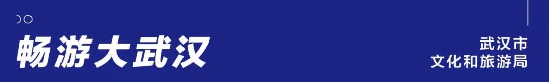 武汉我们并肩作战绘画,我眼中的武汉画