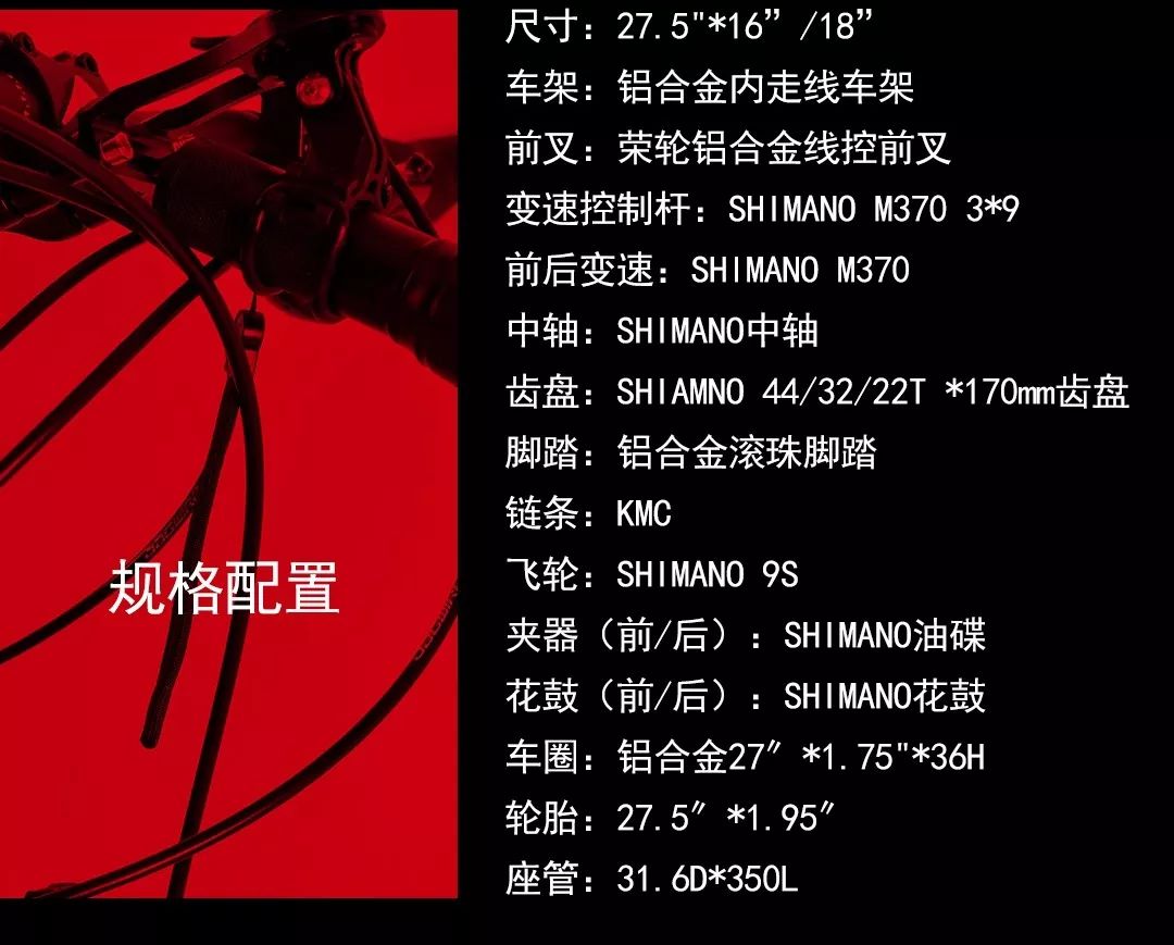 心之所向身之所往进藏,心之所向身之所往312