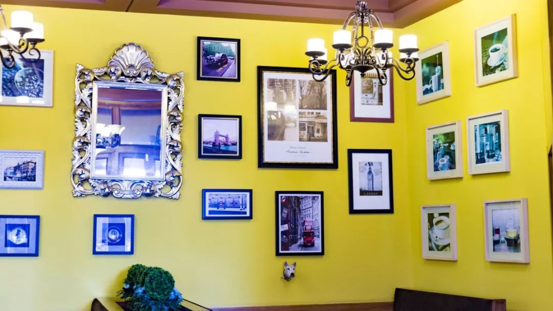 真会玩！寻找多克多带你“玩火”的秘密！