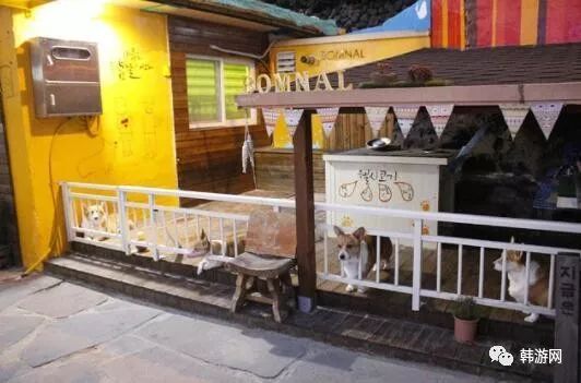 济州岛最美民宿,济州岛超美民宿