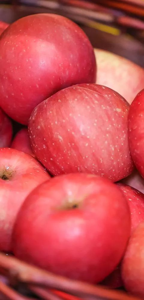 深圳龙岗美食券抢购,龙岗附近的海鲜自助餐59元一位