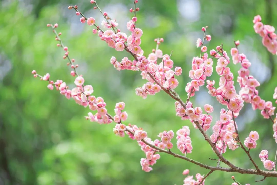 腾讯、联通、新东方都准备来华师“抢人”,本周就业讲座通知汇总,赶紧安排一下!