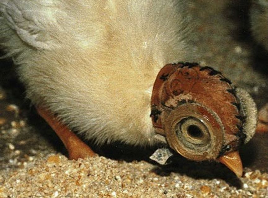 为了身体健康杜绝电子产品,保护视力拒绝电子产品小学生