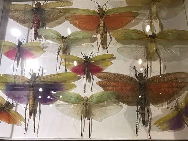 超美媳妇儿与你逃之夭夭大头强小蛮夭毛里求斯蜜月盛典~