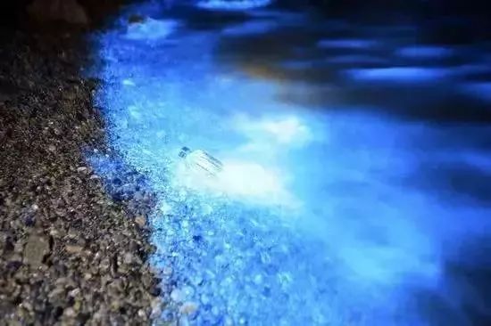 衢州又添新航线！3月31日起可直飞大连、成都、贵阳！古镇熊猫荧光海，约吗？