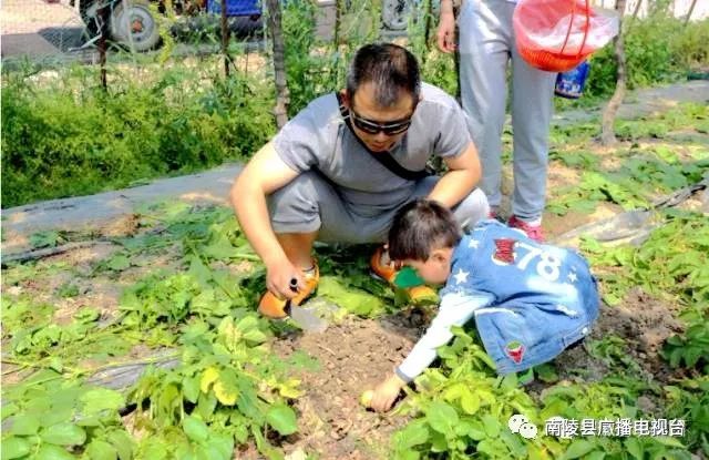 南陵旅游景区,南陵春游打卡点