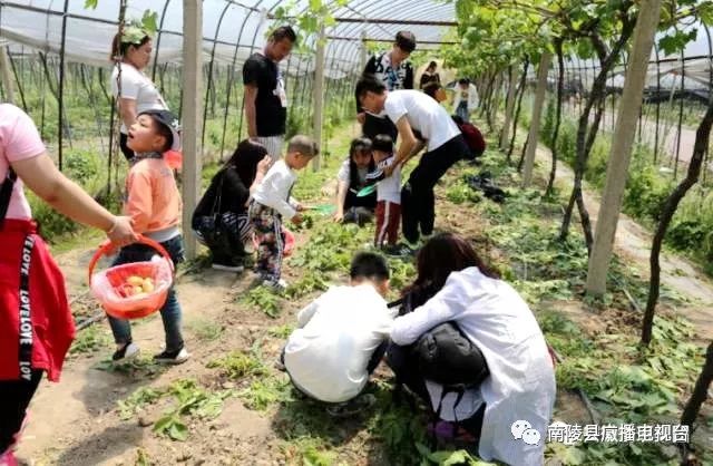 南陵县乡村旅游攻略,南陵县十大旅游景点有哪些