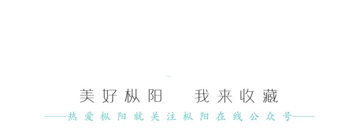 绿水青山就是金山银山保护母亲河,绿水青山就是金山银山党建