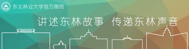 东林发信,东林大佛一封信