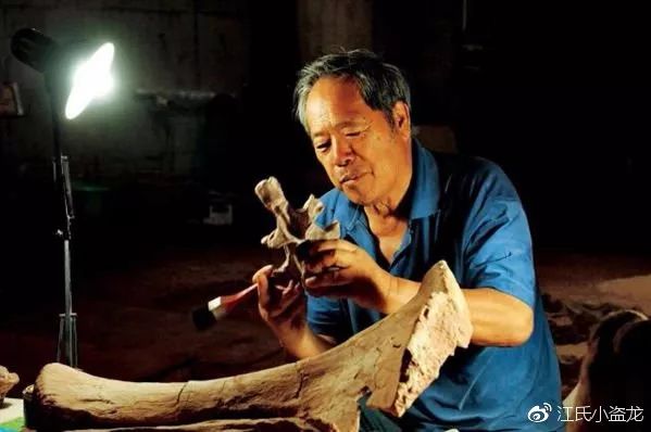 鸭嘴兽奇怪的地方在哪里,奇怪的鸭嘴兽