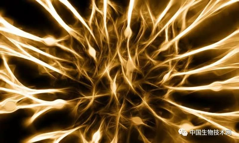 具有治疗功能超声技术是什么,超声技术改善