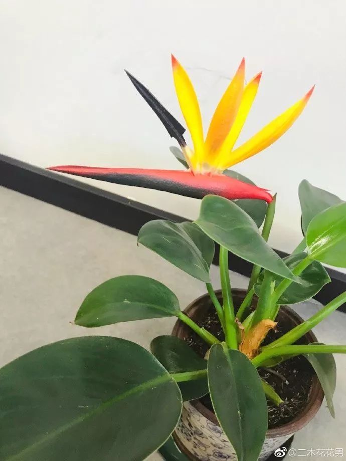 3种方法来辨别真假朋友,三个方面判断骗局