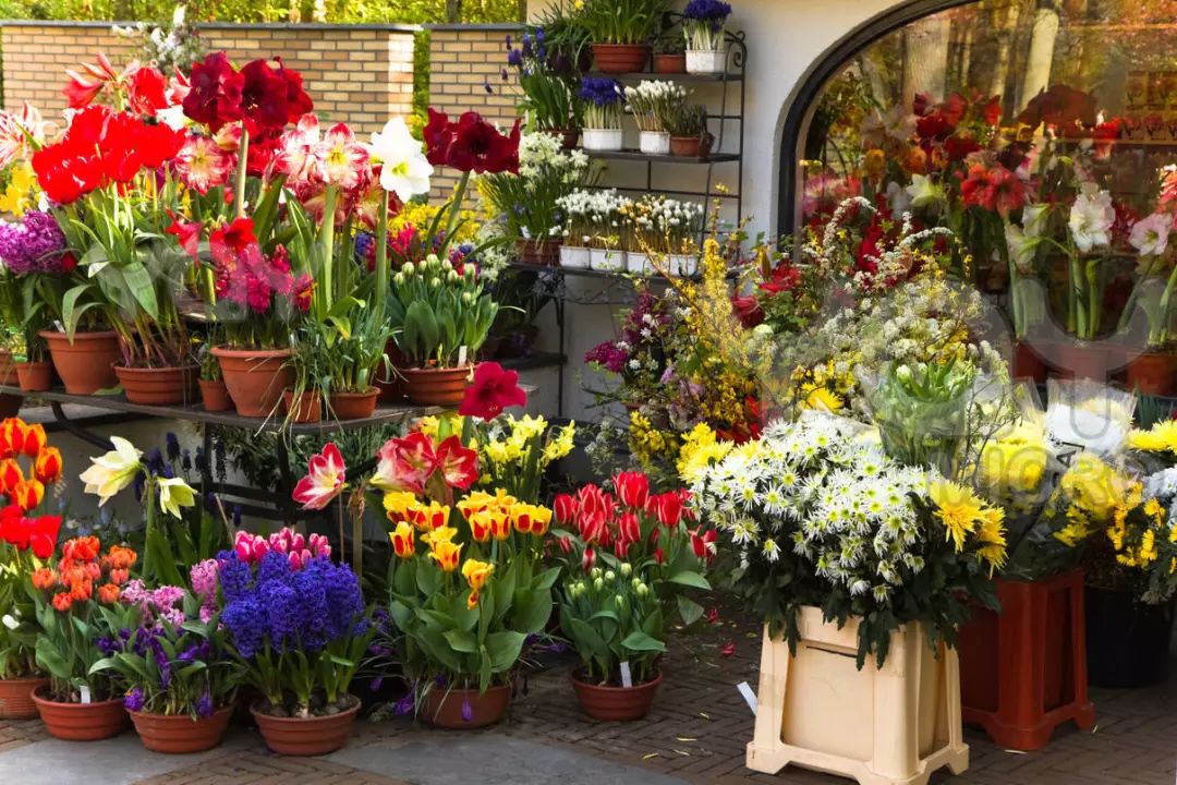 3种方法来辨别真假朋友,三个方面判断骗局