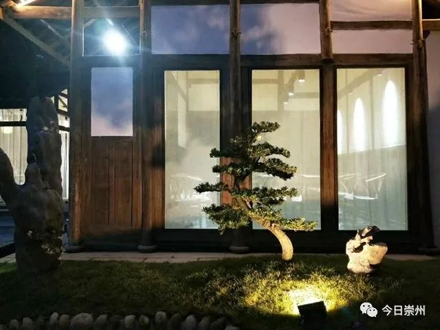 川派盆景、多彩田园,来观胜感受不一样的赏花节