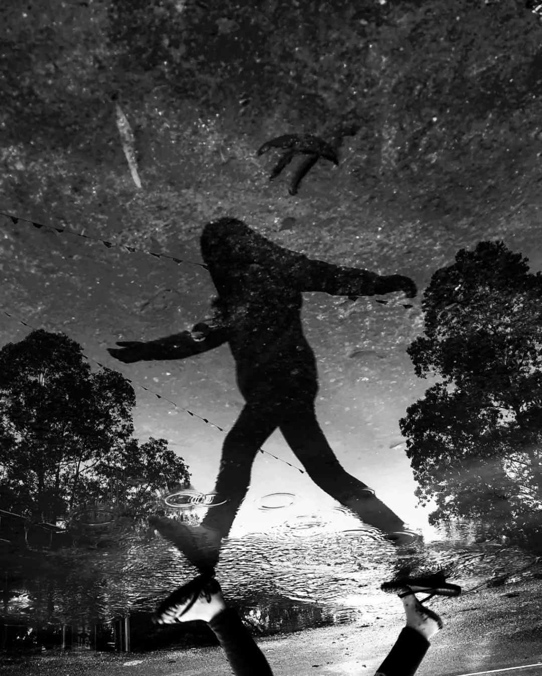 人人都是摄影师,人人都是摄影师首届全球拍照大赛