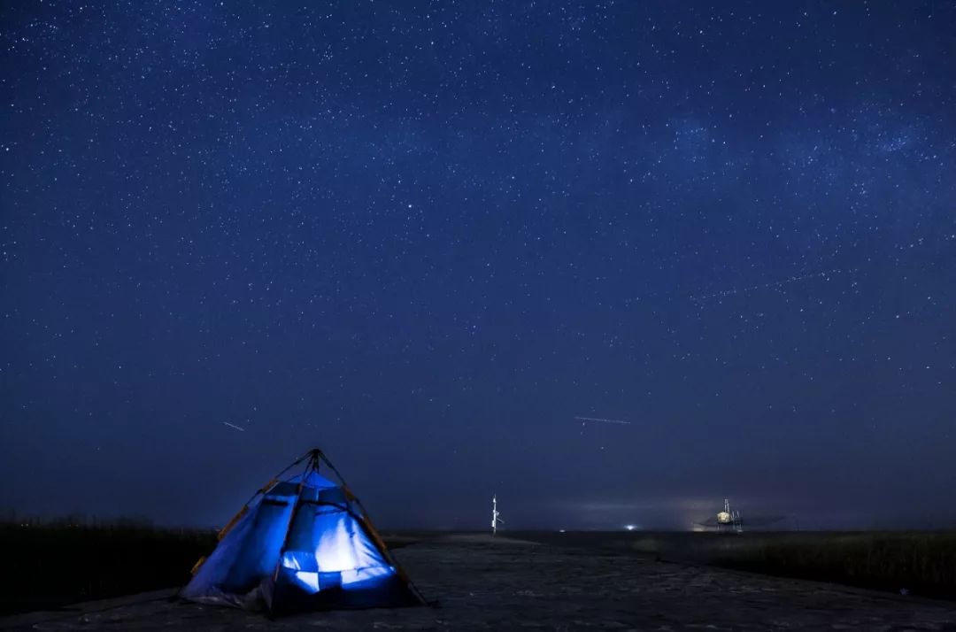 上海免费景点排行榜前十名,上海闵行区免费景点大全