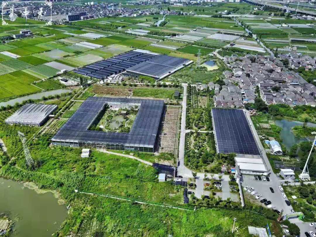 “海归”80后回乡当药农——肖艺：用“爱”说话，传承中医药文化