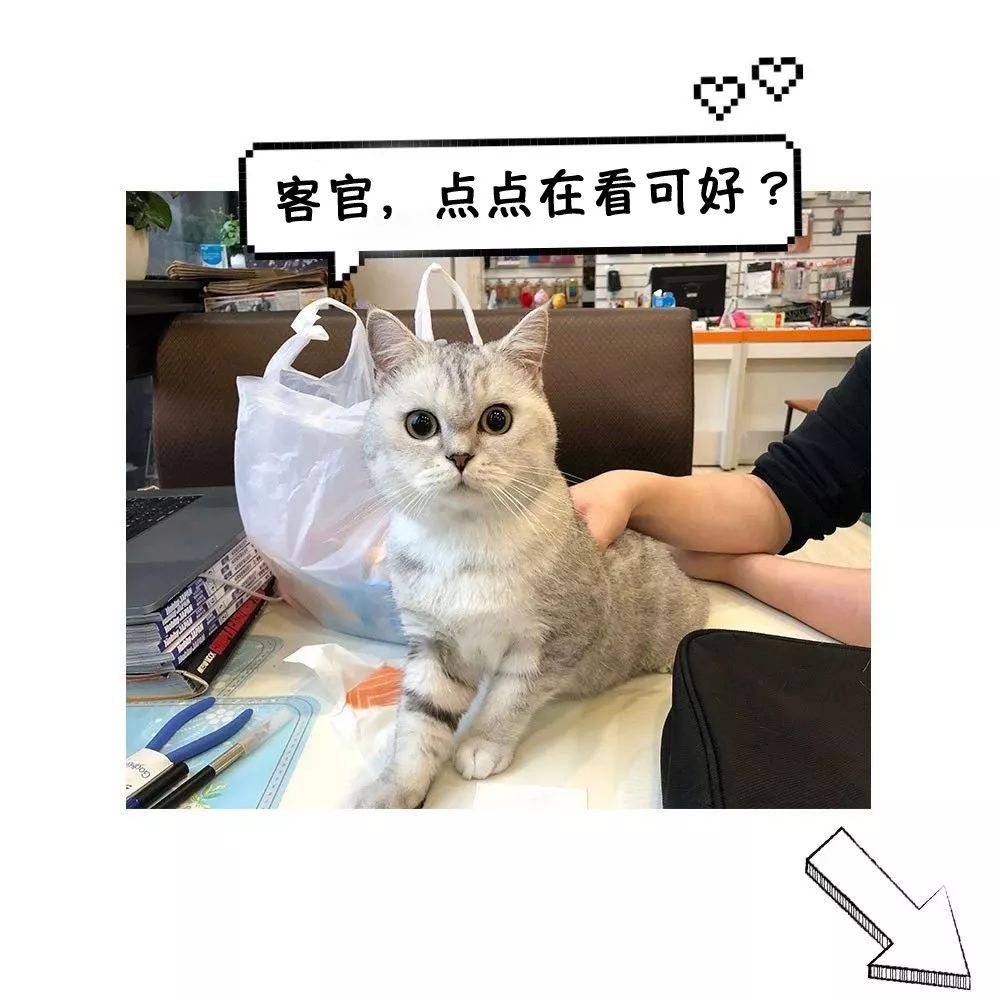 rg要出的新品,rg强袭全装备高达