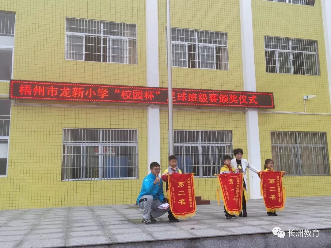 红领巾小健将活动感受,红领巾小健将