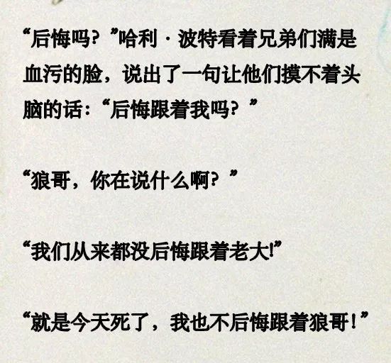 你看过哈利波特吗语录,哈利波特计分漏斗都长啥样