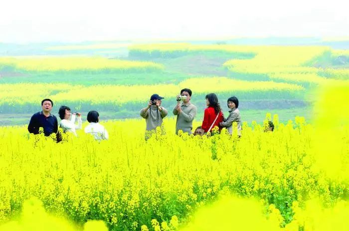 镇江春天一定要做的25件事，别辜负了大好*光春**！