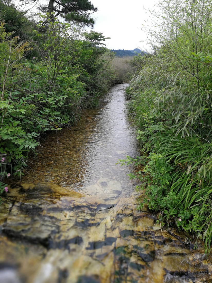 搁船尖登顶难度,搁船尖天目山光明顶