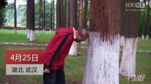 鲜榨果汁调理身体,年轻人的养生方式从鲜榨果汁开始