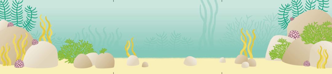 团|这套贴纸涂色书,我专程从中国带到了英国!