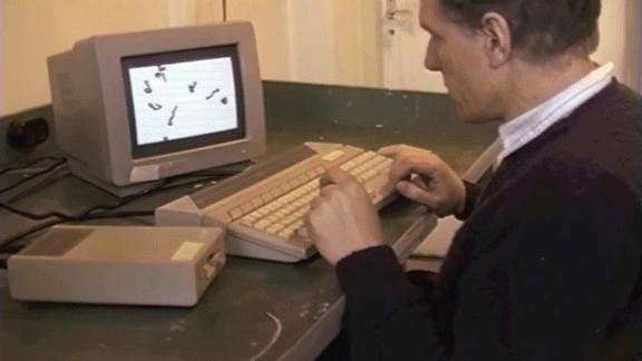 海边，他养了一群吃风的怪兽