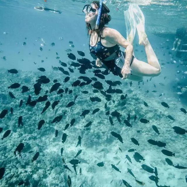 环球旅行40个国家65个城市心得,环球旅行80天的感受