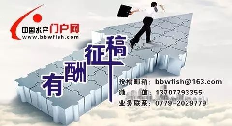 显微镜看到的藻类微生物形态图,藻类浮游生物