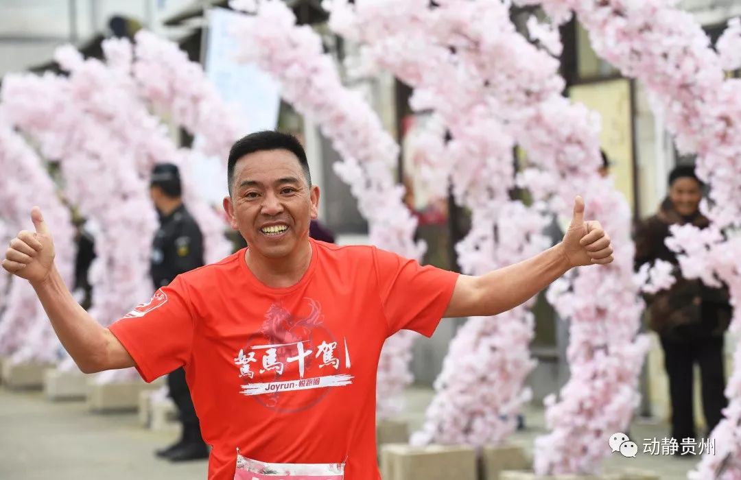 贵阳什么地方桃花开了最美,贵阳桃花盛开的地方