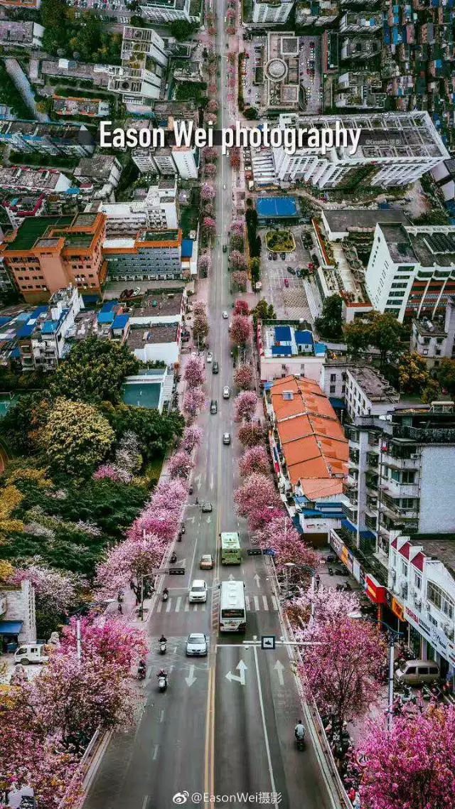 螺蛳粉征服世界,螺蛳粉征服全世界