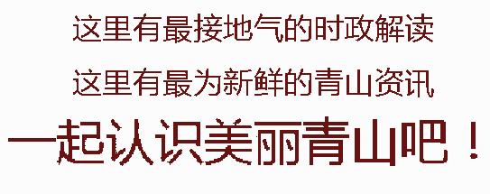 唯品会在青山开店,唯品会开店至少要多少时间