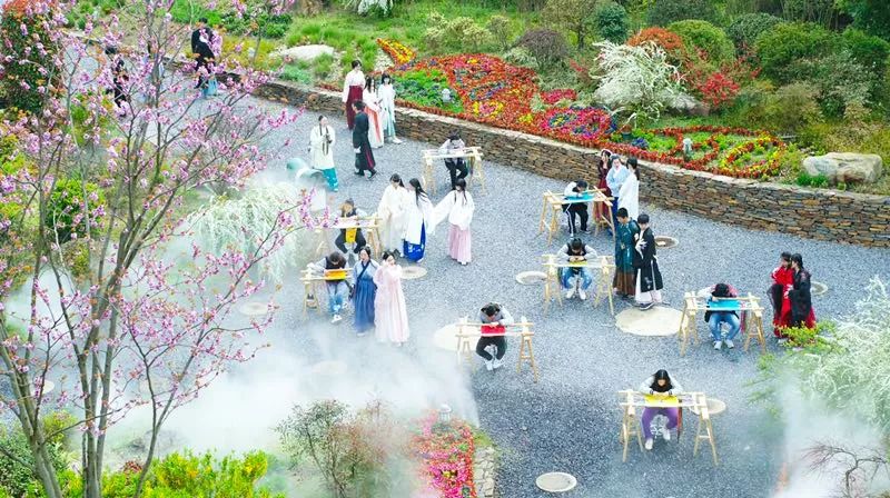 央视武汉樱花,央视新闻一起来看武汉樱花