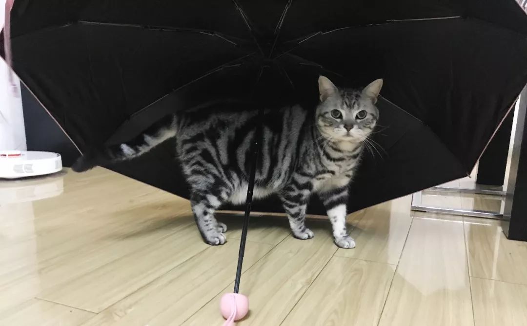 店庆购物攻略,店庆全攻略