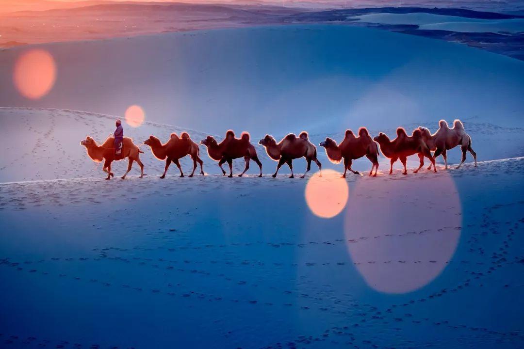 海子的句子,海子的诗120字