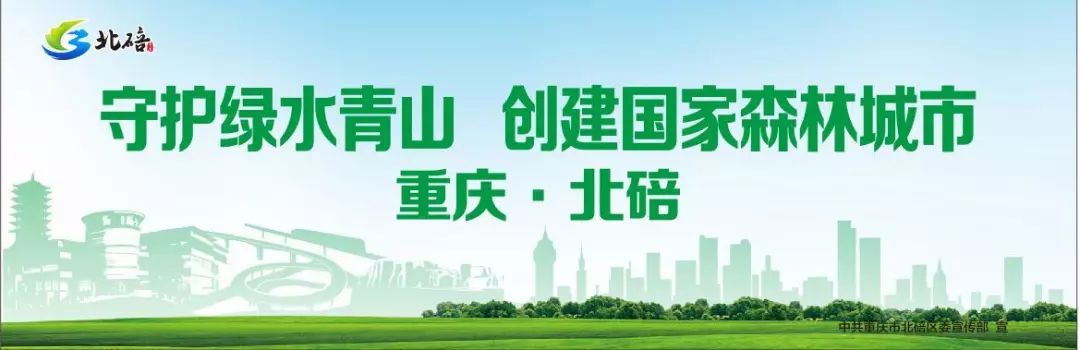 李影女足直播回放,中国女足李影霸气