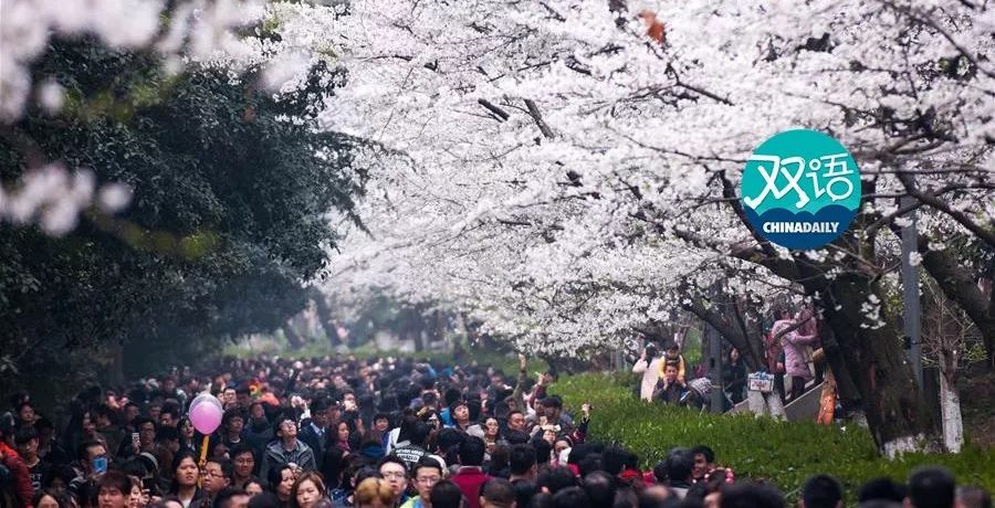 password和code,password和pin区别