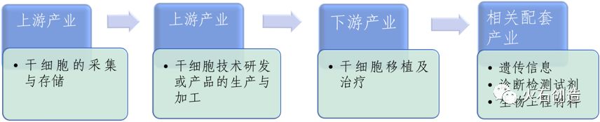 干细胞治疗研究进展和产业分析