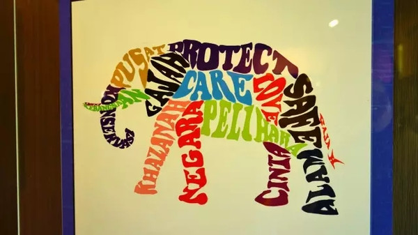 马来西亚猫山王详细攻略,尝一口香甜的马来西亚猫山王