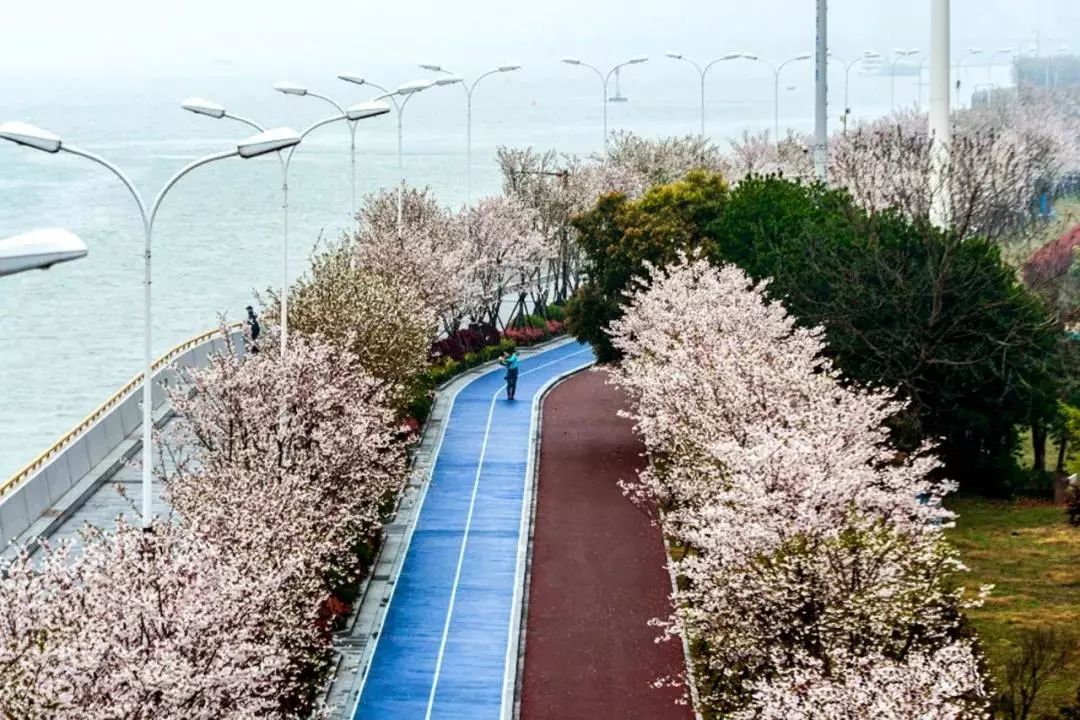 一个代购被判刑四年罚款一百万,代购被罚300万视频