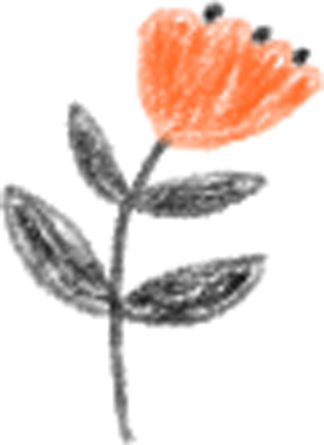 关于口罩能提出什么问题,关于口罩的事