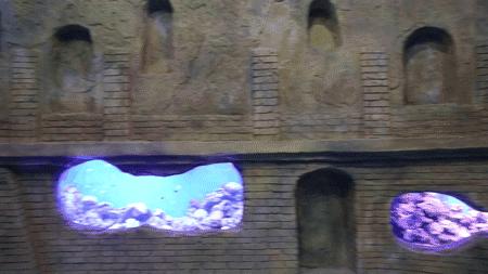 温州海洋馆购票须知,温州海洋馆卡