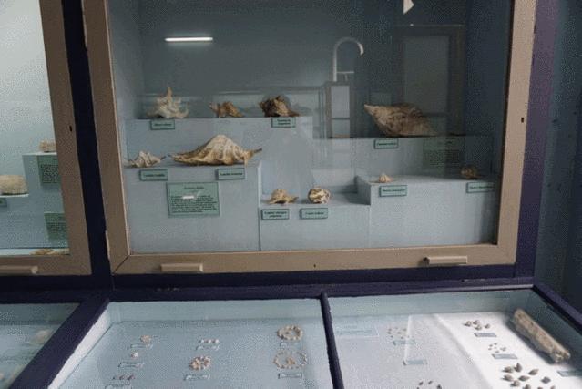 一次玩遍欧洲,毛里求斯环岛