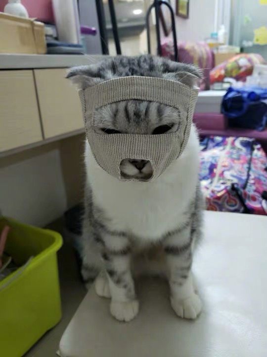 emoji吐舌头模仿挑战,emoji模仿挑战吐舌头