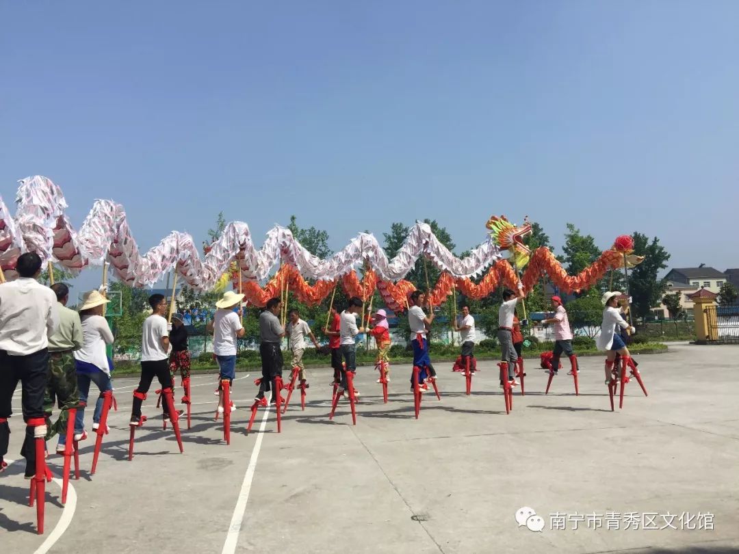 群龙聚首贺新春,青秀区国际传统舞龙邀请赛