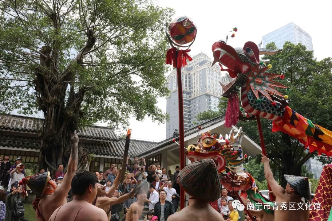 群龙聚首贺新春,青秀区国际传统舞龙邀请赛