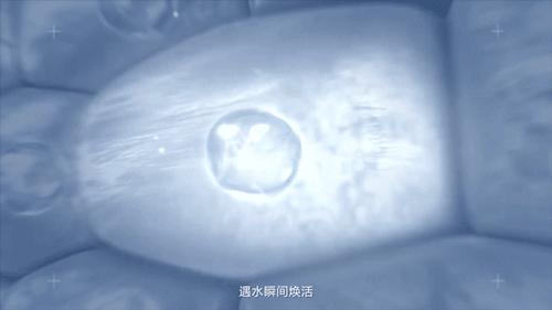 今年520你打算和谁一起过,今年的520你想和谁过